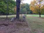 The old track and Senior Tennis Courts