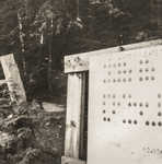 Buddy Board and Junior waterfront path (1965)