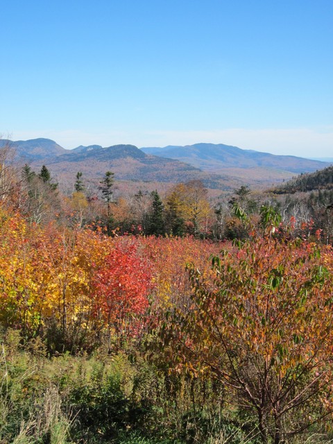 Presidential Range View from afar
October 2011