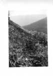 View of Tuckerman Ravine - 1946